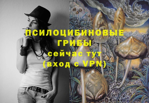 ALPHA PVP Богданович