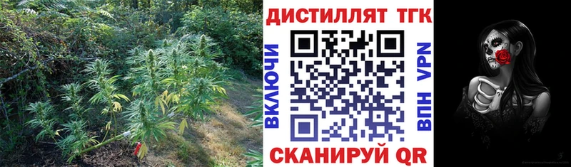 где продают   Мглин  Дистиллят ТГК концентрат 
